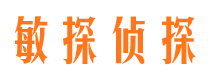 德阳市调查公司